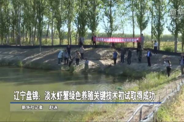 遼寧盤錦：淡水蝦蟹綠色養(yǎng)殖關(guān)鍵技術(shù)初試取得成功 