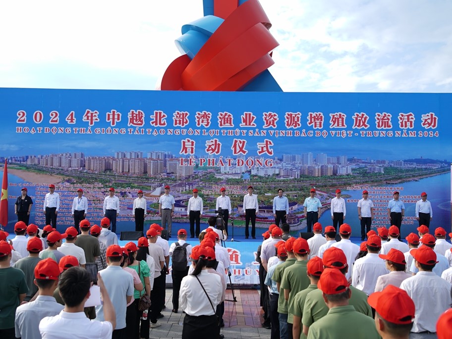 中越聯(lián)合舉行2024年北部灣漁業(yè)資源增殖放流活動(dòng)